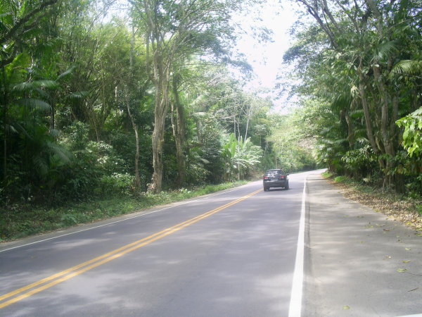 SAMSUNG DIGITAL CAMERA