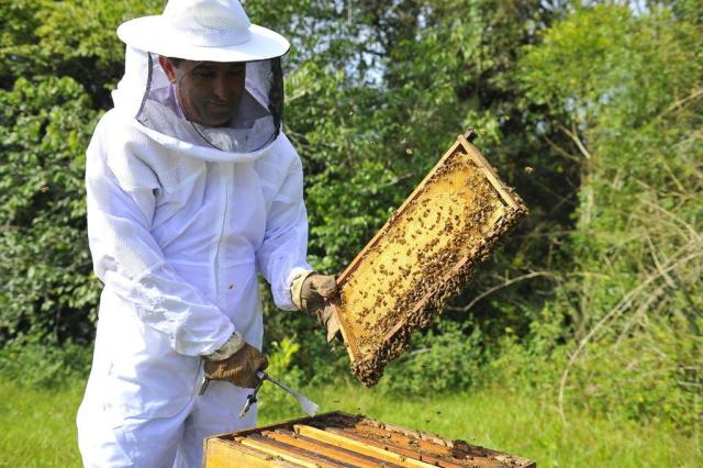 Prefeito de Xaxim (SC) visitará Itabuna para conhecer projeto de fomento a apicultura