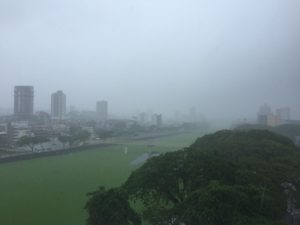 WhatsApp Image 2020-10-23 at 14.54.13