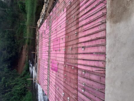 Ponte 5
