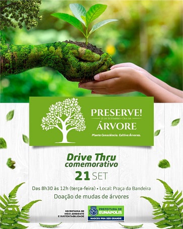 arvore