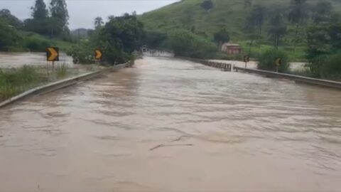 ponte1