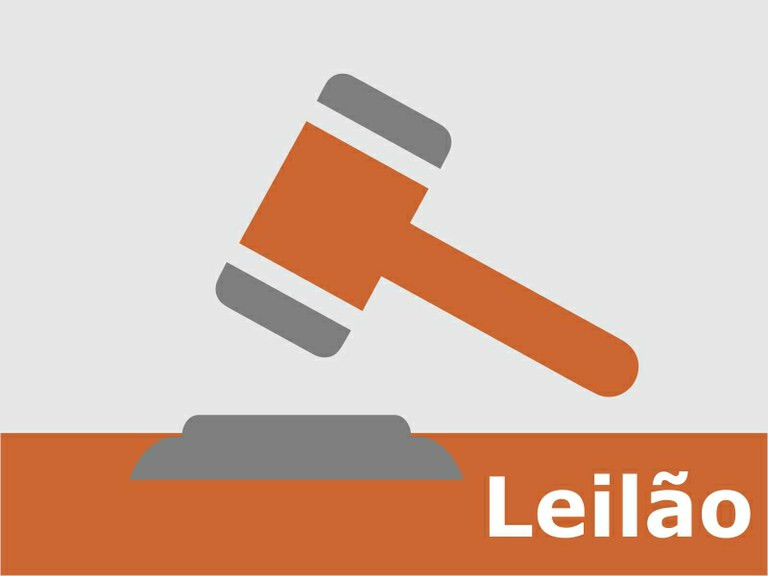 leilao
