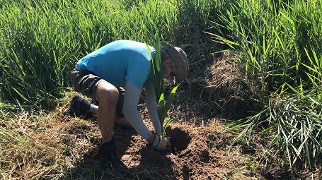 Plantio de mudas APP São Miguel - 2022 (2) (1)