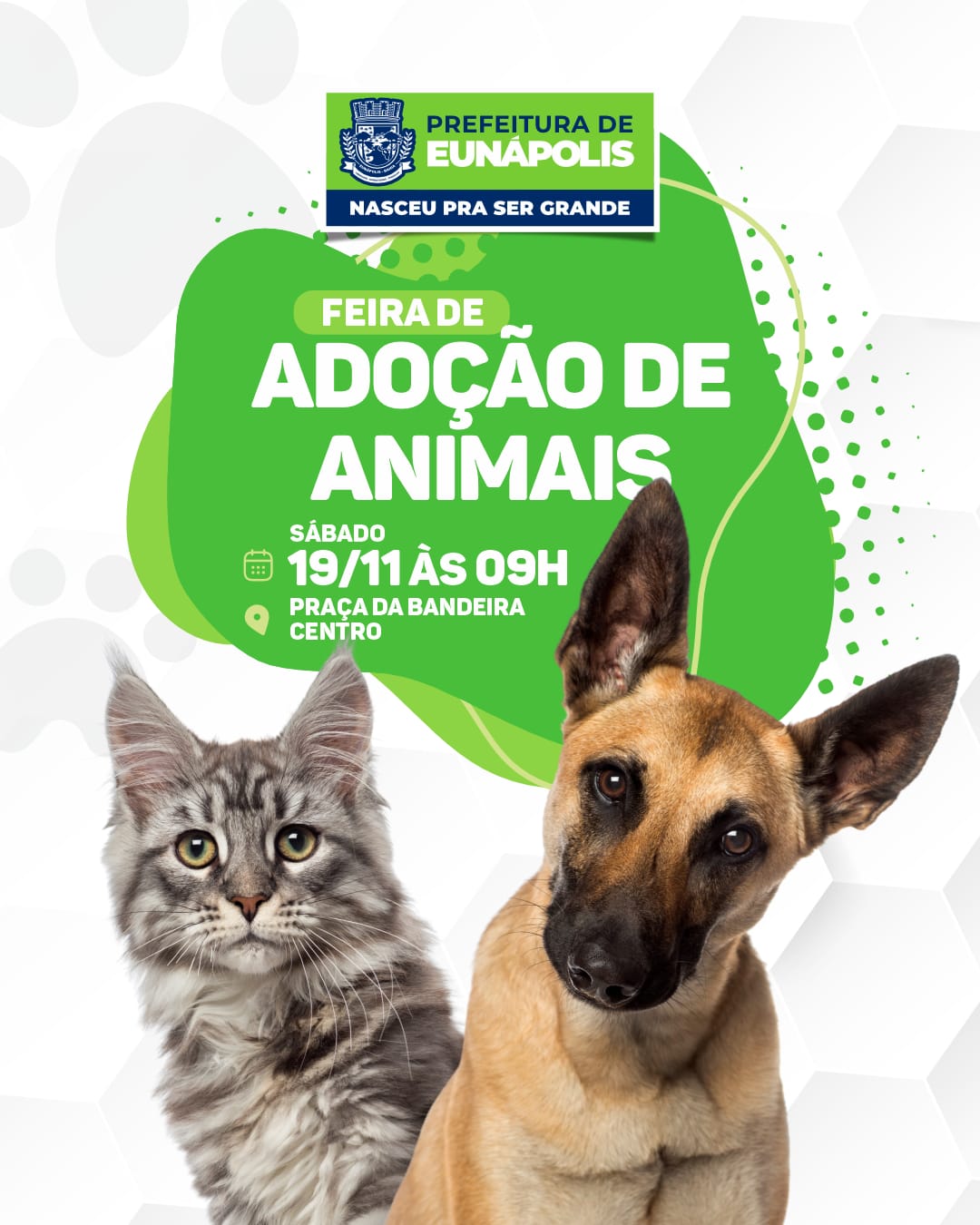 adocao-animais