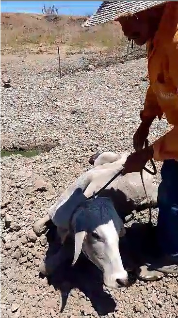 WhatsApp Image 2023-12-06 at 15.40.41