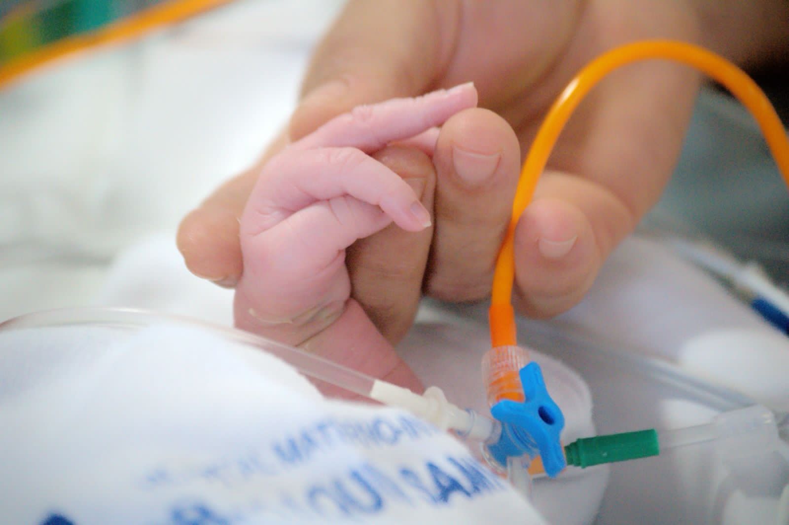 8bd4297a-183c-4d68-bff7-9f584e7ba56b